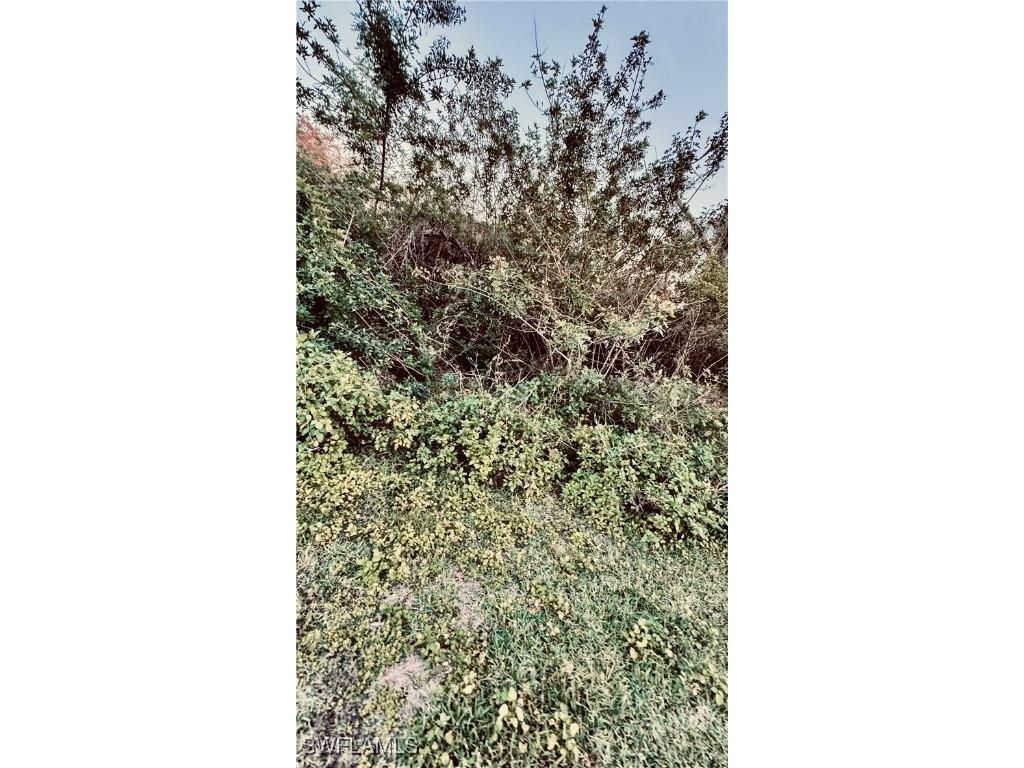 Abbotsford Street North Port FL 34287 225013353 image7