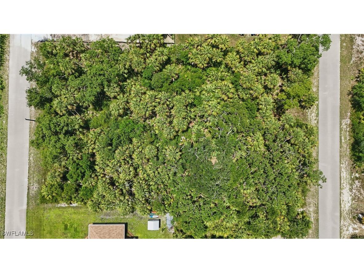 Basket Street North Port FL 34288 225054616 image10