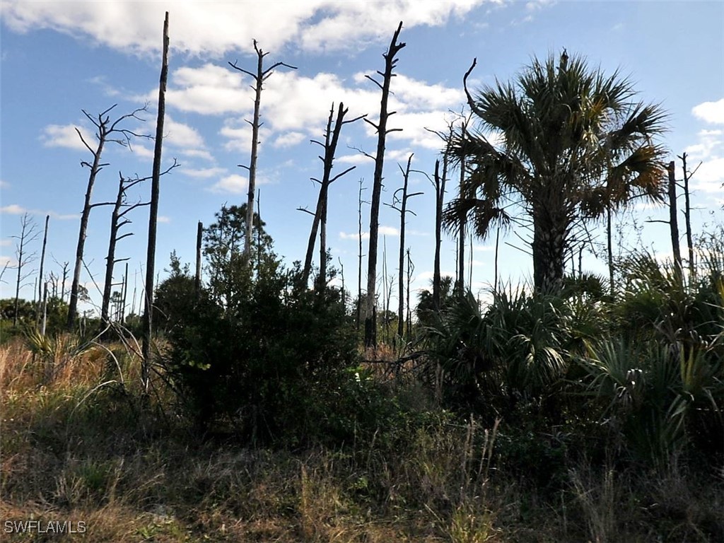 Boskoop Road North Port FL 34288 224090233 image2