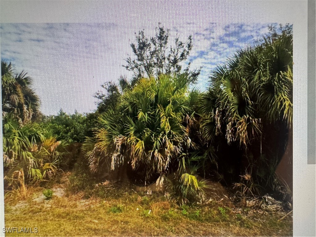 Brubeck Road North Port FL 34287 225005607 image1