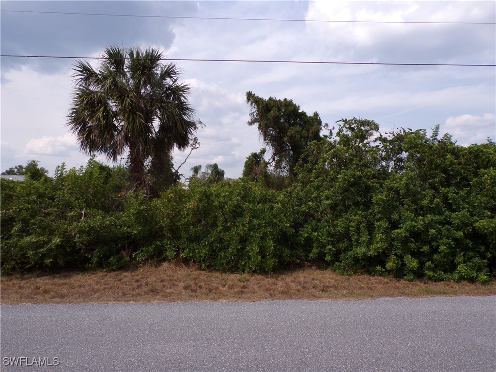 Cosgrove Road North Port FL 34291 225049120 image11