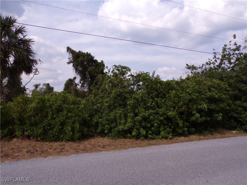 Cosgrove Road North Port FL 34291 225049120 image13