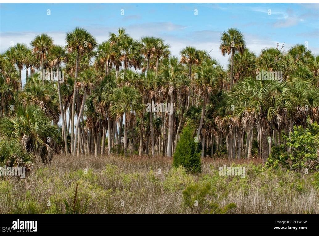 Desoto Blvd Naples FL 34120 225044737 image1