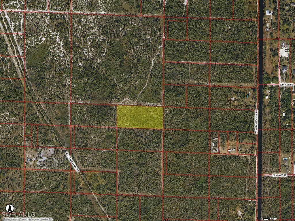 Woodland Grade Naples FL 34117 225032273 image2