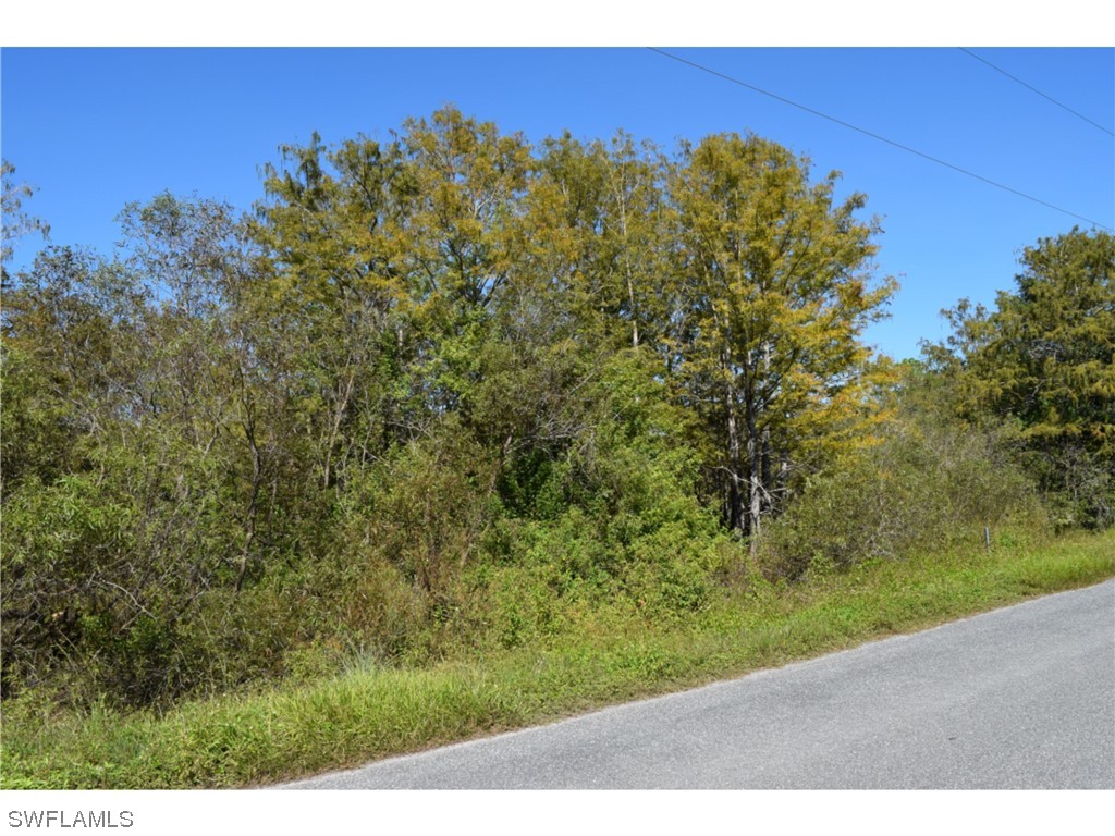 Jacks Branch Road Labelle FL 33935 223081327 image3