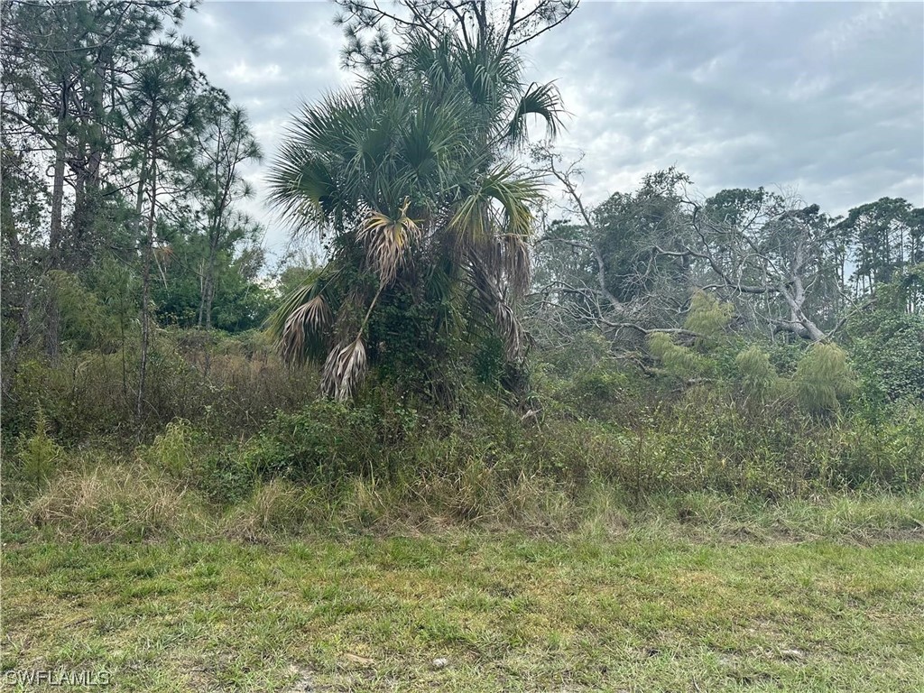 Kumquat Street North Port FL 34291 223088137 image1