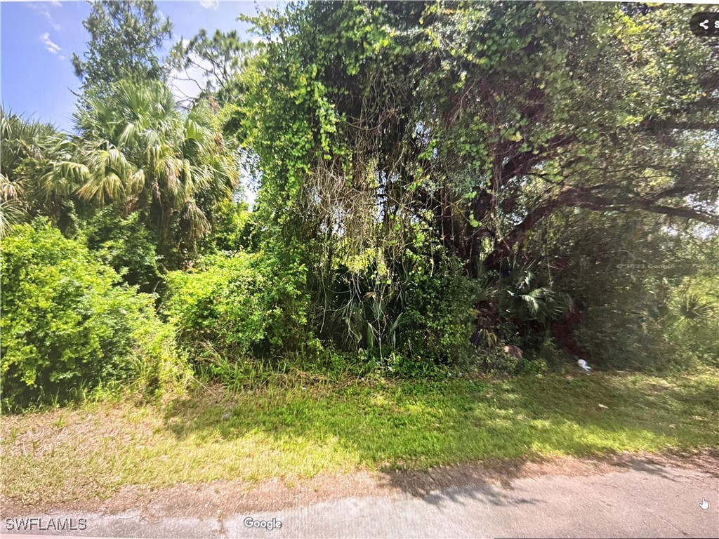 BLK 68 LOT 13 March Lane Labelle FL 33935 225004318 image1