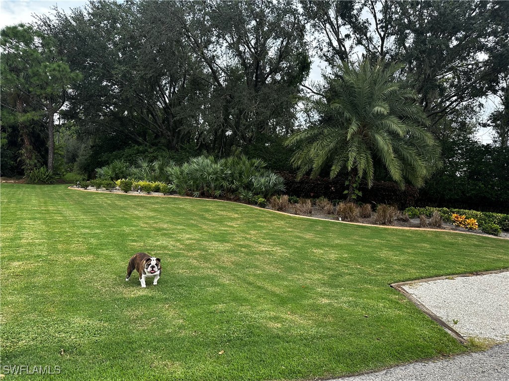 N River Road Venice FL 34293 224063904 image6