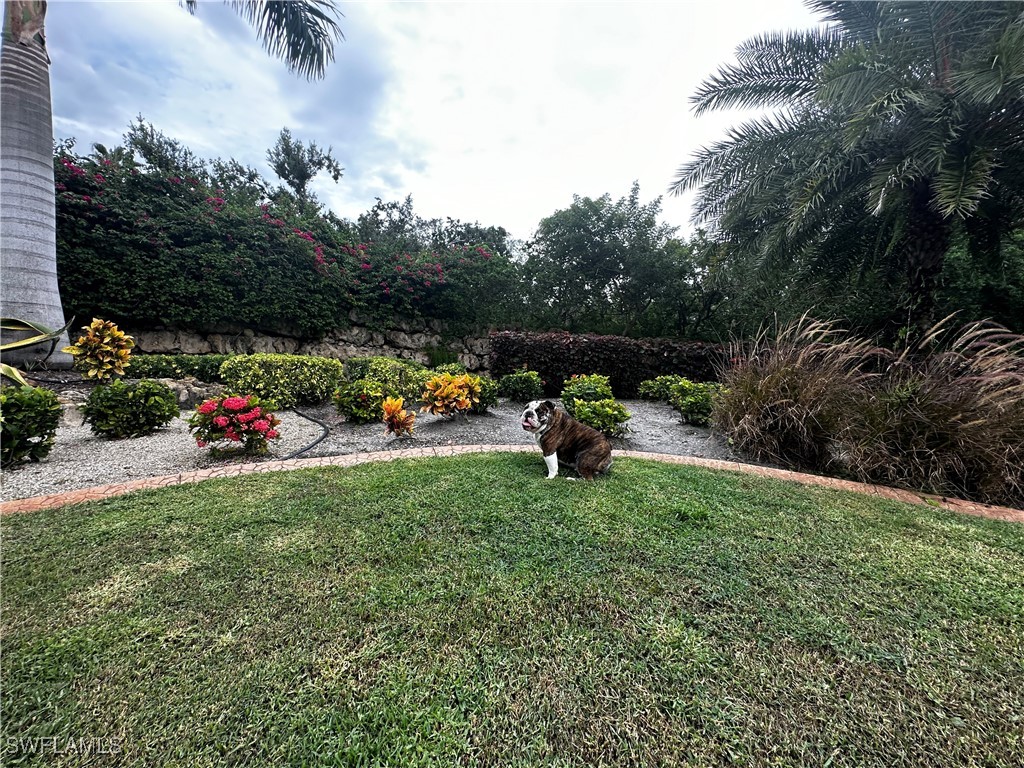 N River Road Venice FL 34293 224063904 image8