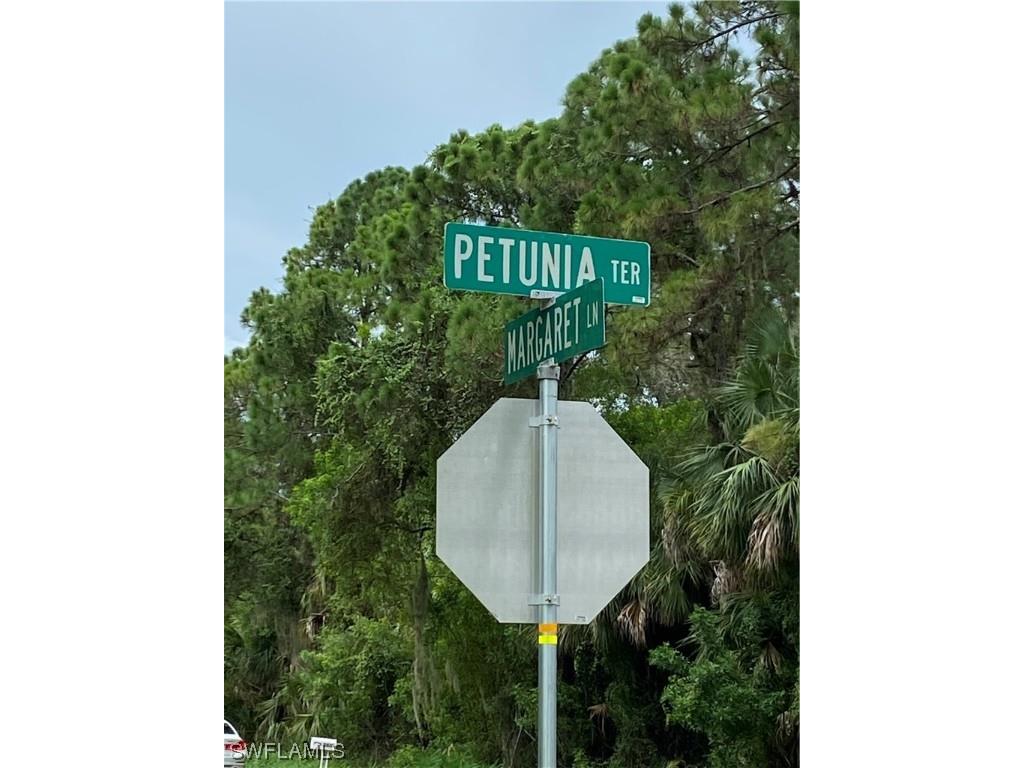 Petunia Terrace North Port FL 34286 221059112 image2