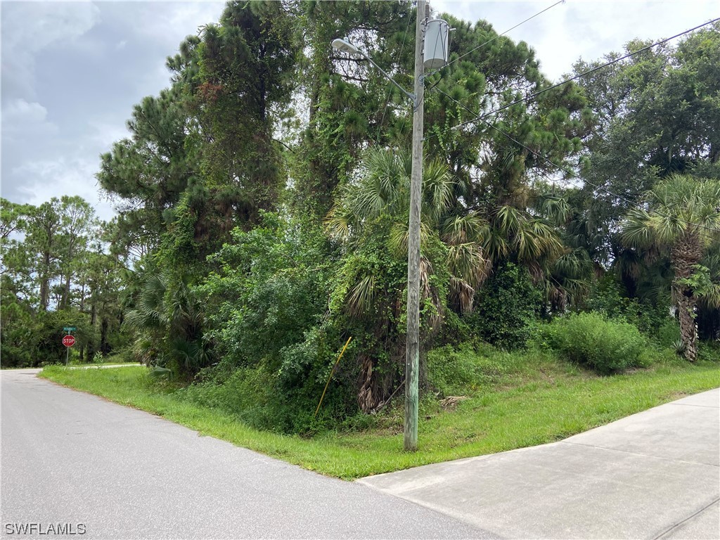 Petunia Terrace North Port FL 34286 221059112 image4