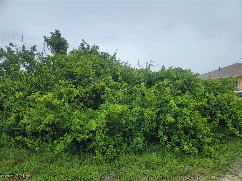 3114 5th St SW Lehigh Acres FL 33976 225055269 image4