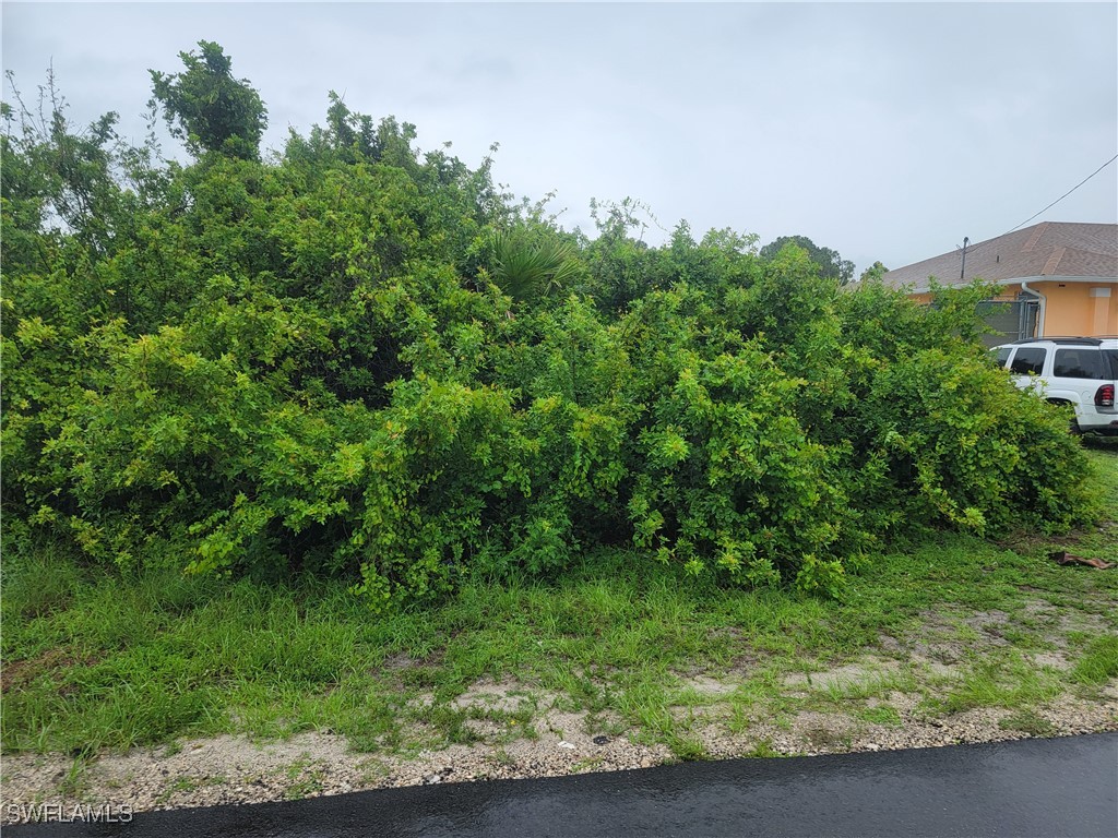 3114 5th St SW Lehigh Acres FL 33976 225055269 image5