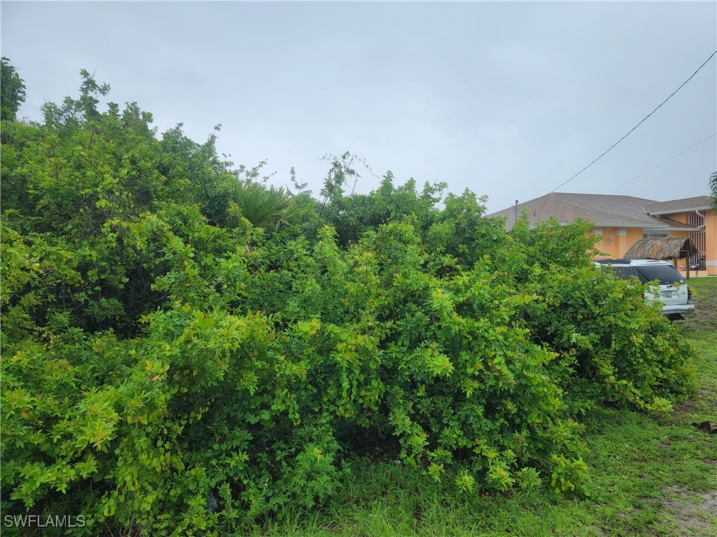 3114 5th St SW Lehigh Acres FL 33976 225055269 image6