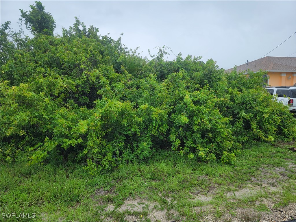 3114 5th St SW Lehigh Acres FL 33976 225055269 image7