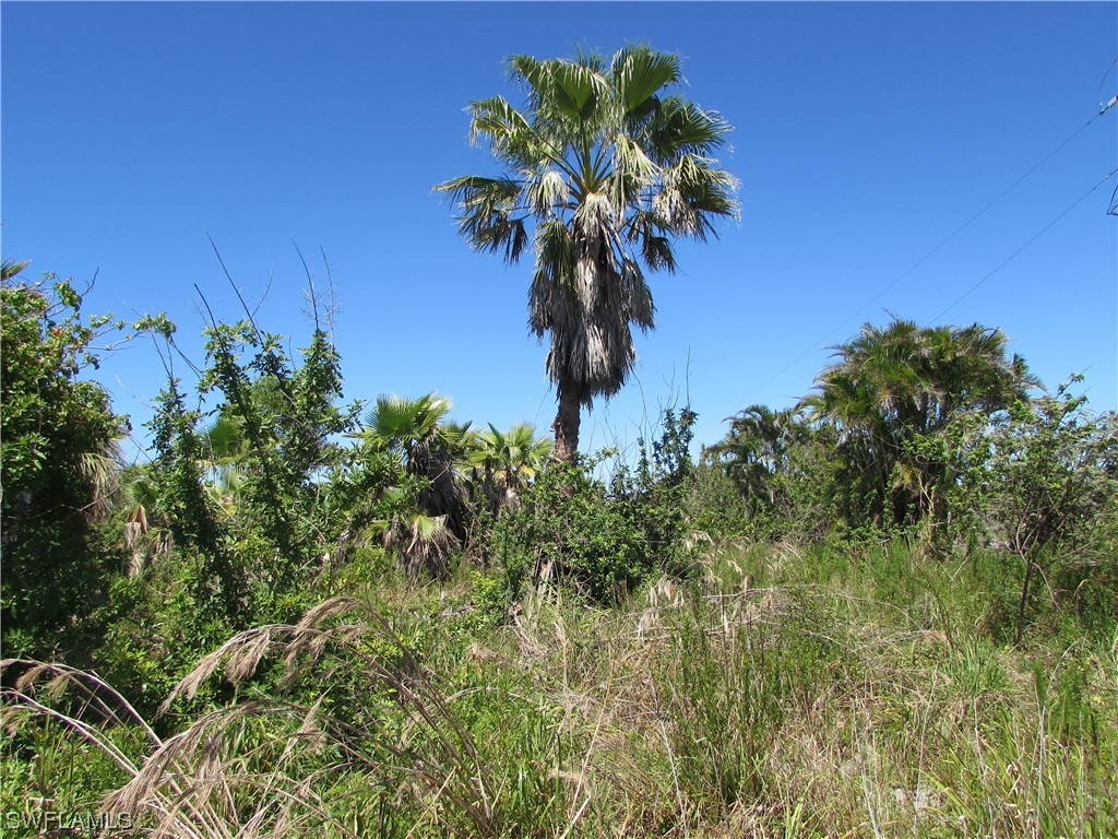 Samadani Lane Bokeelia FL 33922 223022463 image10