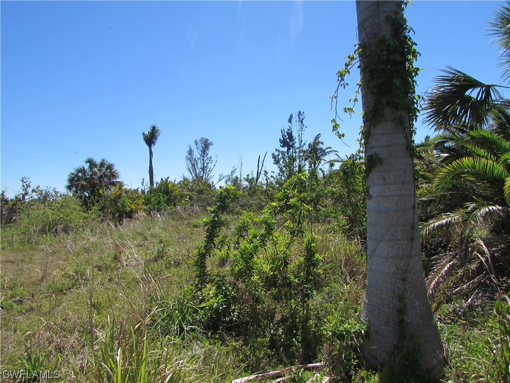 Samadani Lane Bokeelia FL 33922 223022463 image11