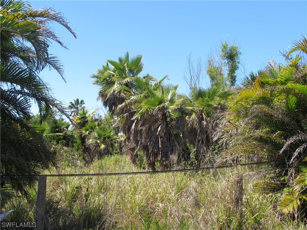 Samadani Lane Bokeelia FL 33922 223022463 image16