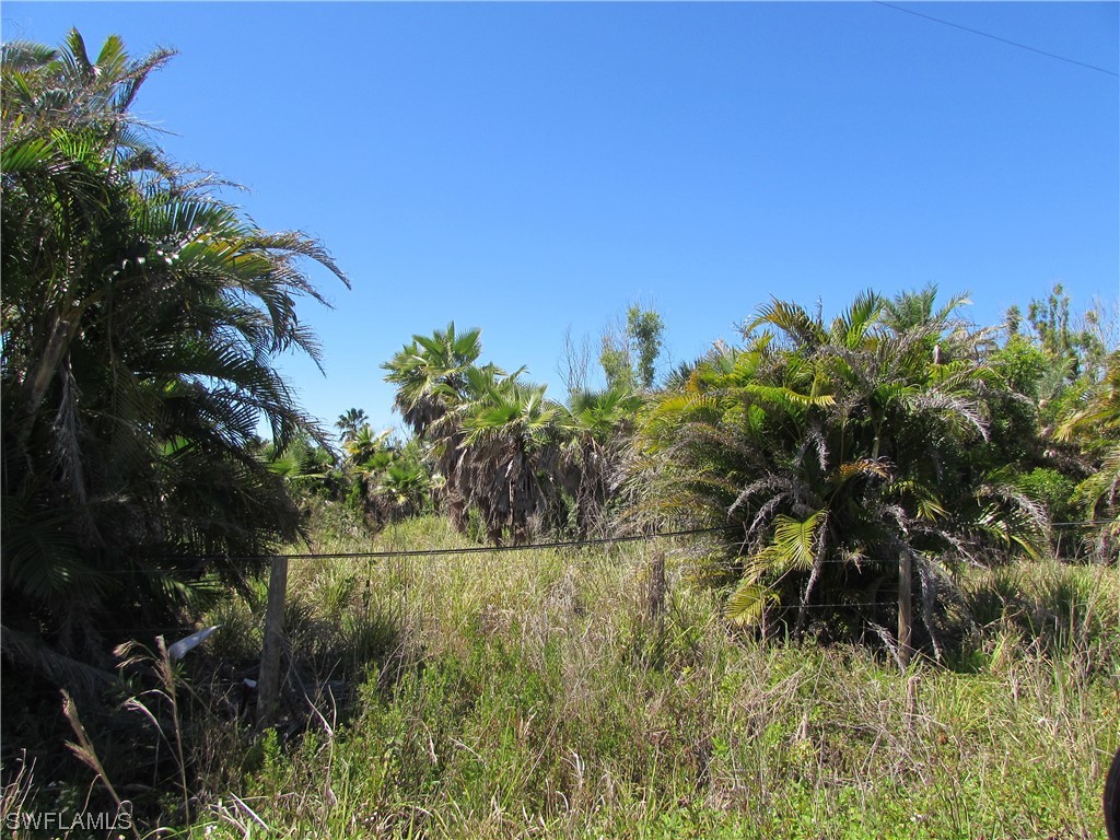 Samadani Lane Bokeelia FL 33922 223022463 image17