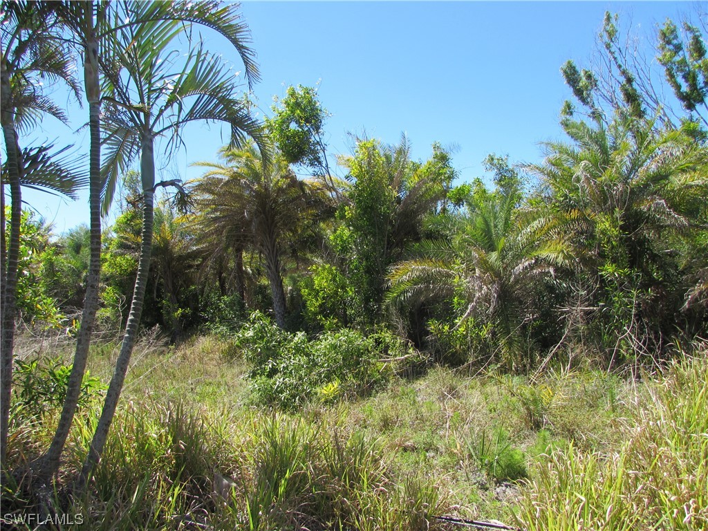 Samadani Lane Bokeelia FL 33922 223022463 image3