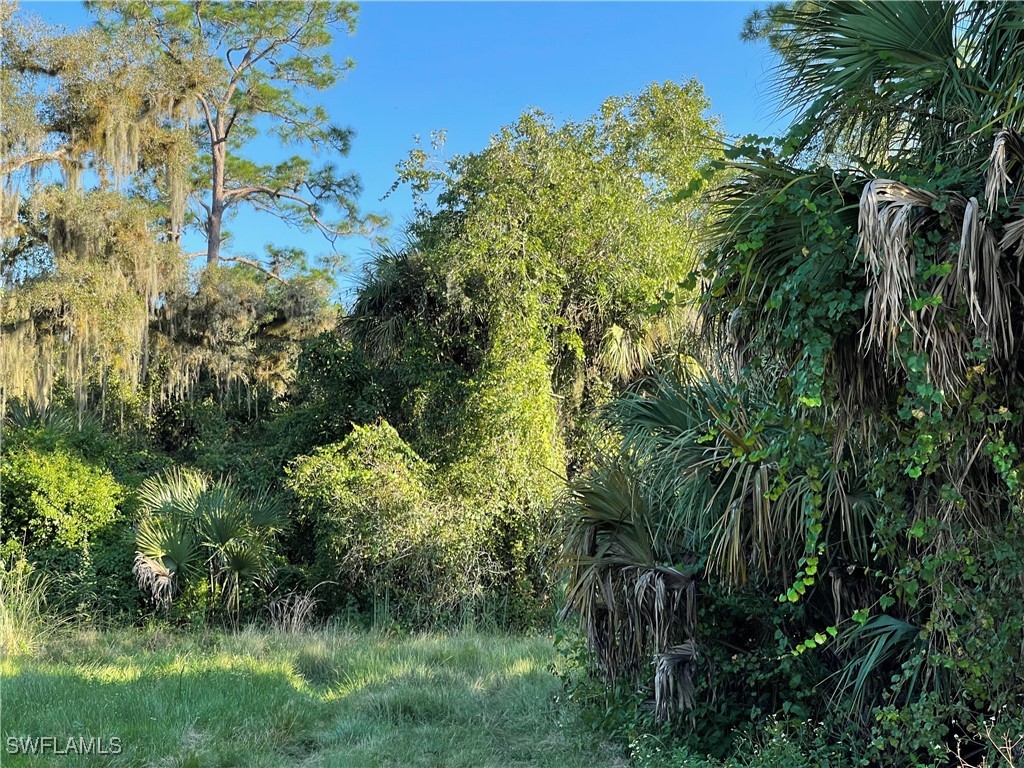 Secretariat Drive Labelle FL 33935 225028250 image15