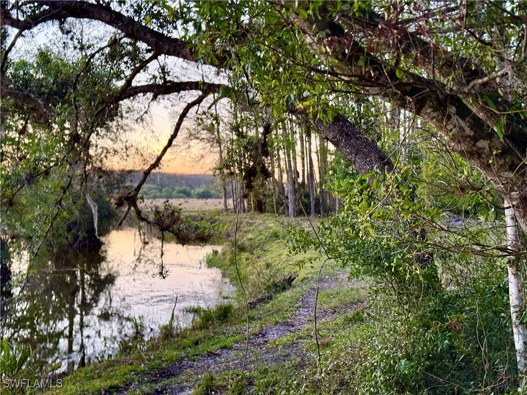 Secretariat Drive Labelle FL 33935 225028250 image2