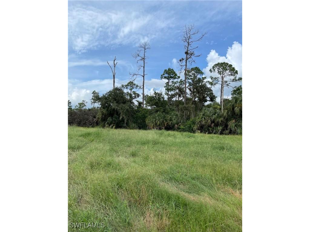 Secretariat Drive Labelle FL 33935 225028250 image20