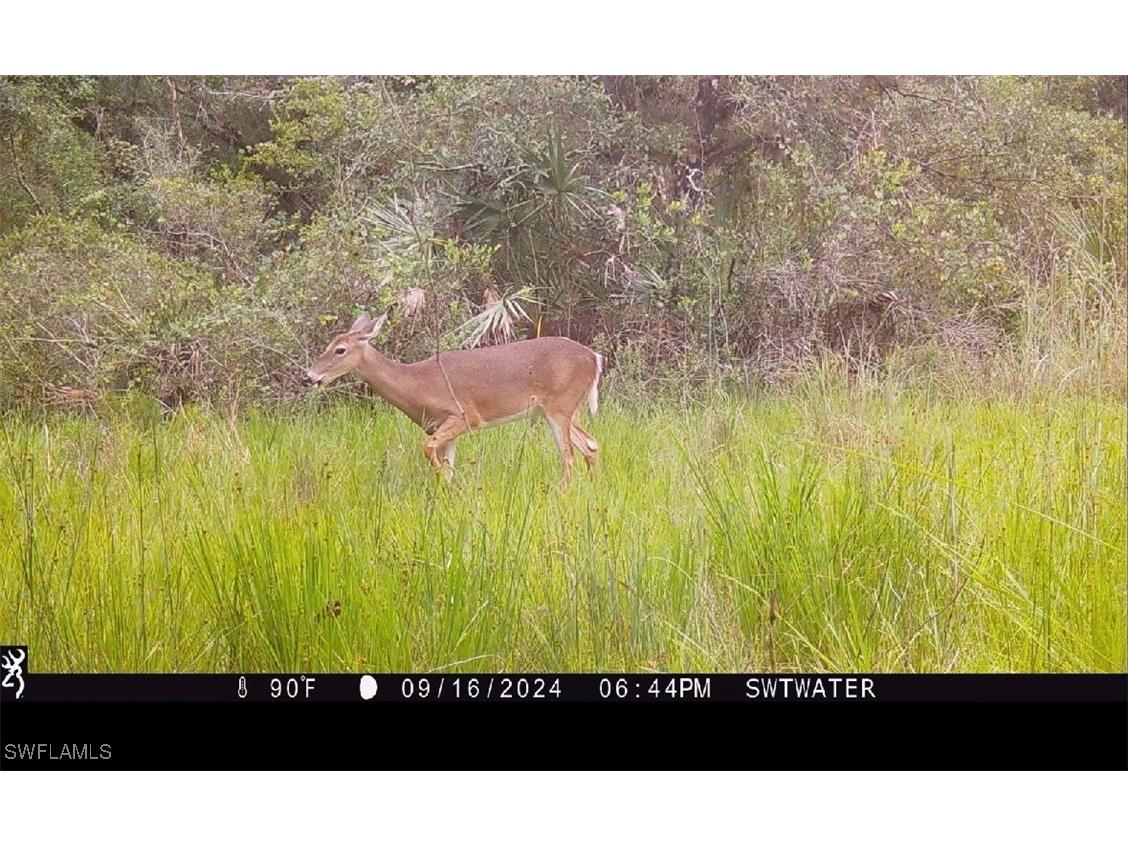 Secretariat Drive Labelle FL 33935 225028250 image27