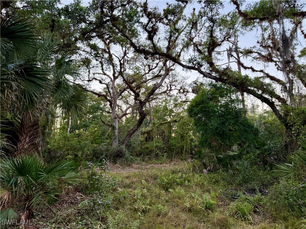 Secretariat Drive Labelle FL 33935 225028250 image3