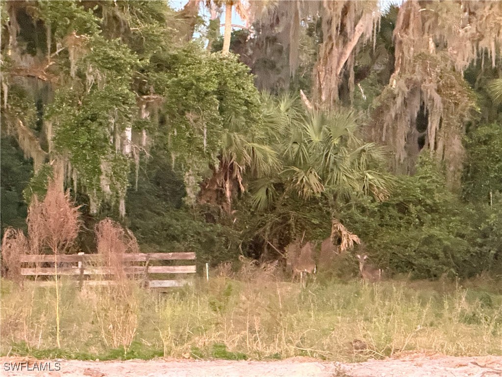 Secretariat Drive Labelle FL 33935 225028250 image37