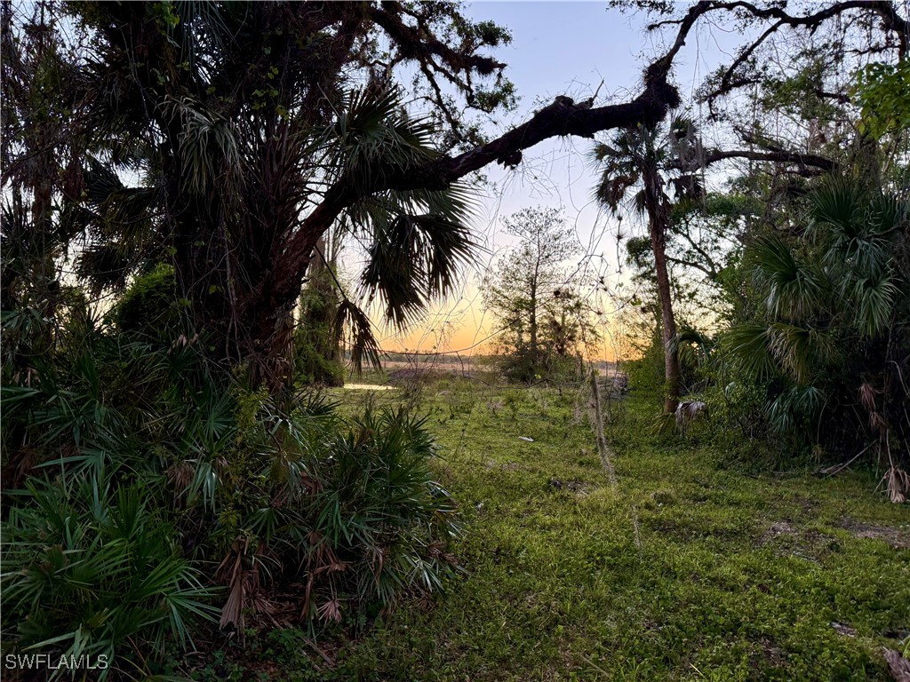 Secretariat Drive Labelle FL 33935 225028250 image39