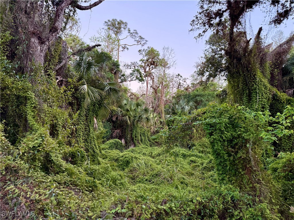 Secretariat Drive Labelle FL 33935 225028250 image4