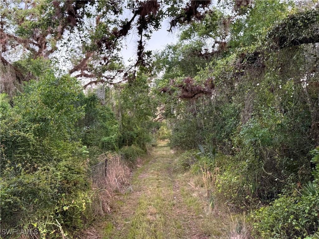 Secretariat Drive Labelle FL 33935 225028250 image45