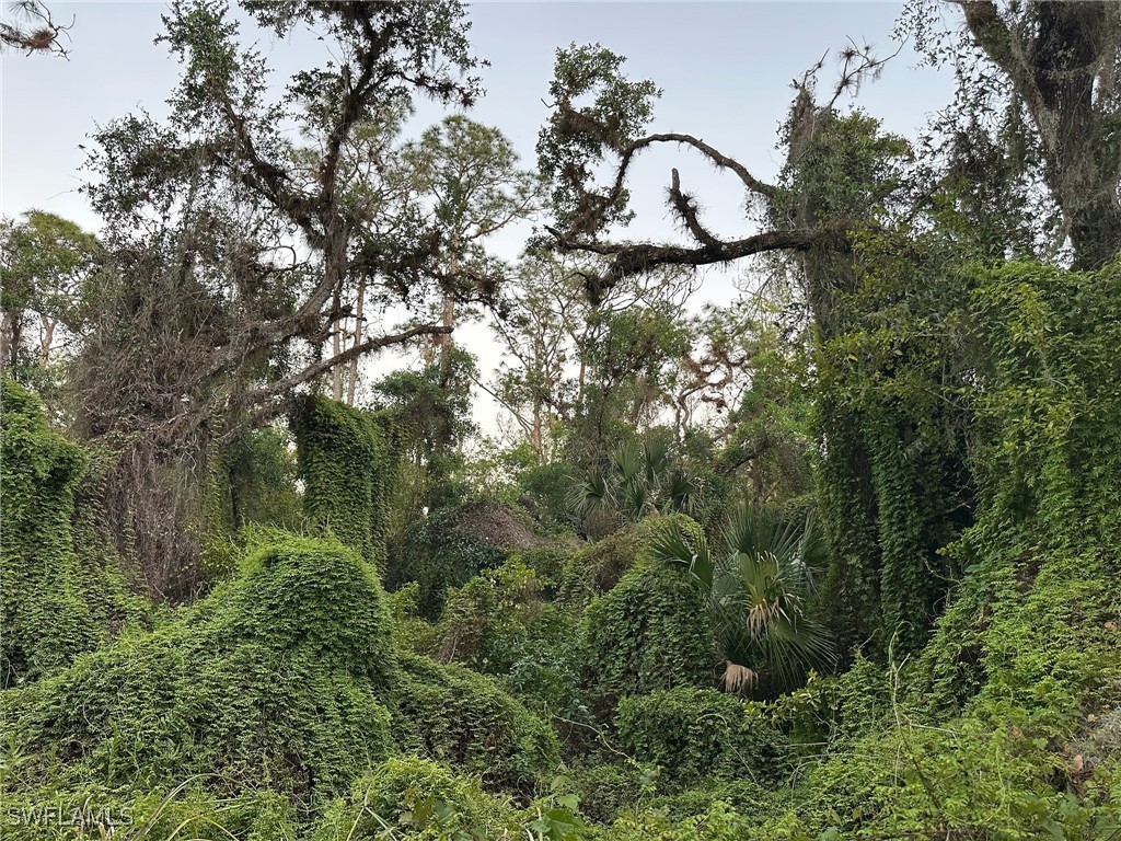 Secretariat Drive Labelle FL 33935 225028250 image47