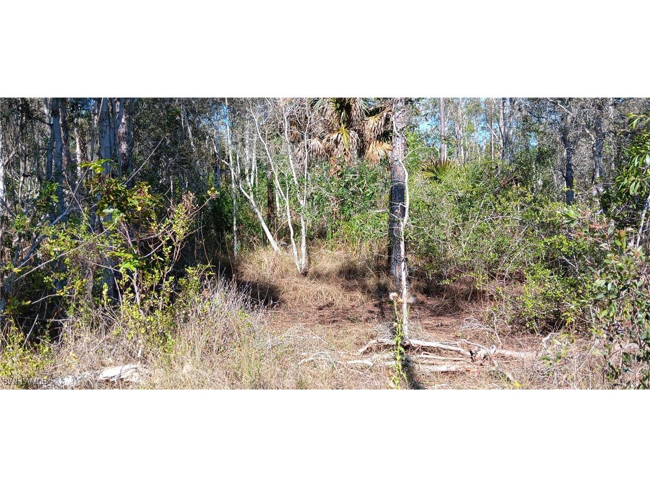 Vista Ridge Drive Fort Myers FL 33913 225041502 image3