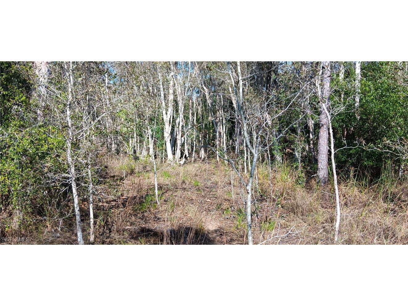 Vista Ridge Drive Fort Myers FL 33913 225041504 image3