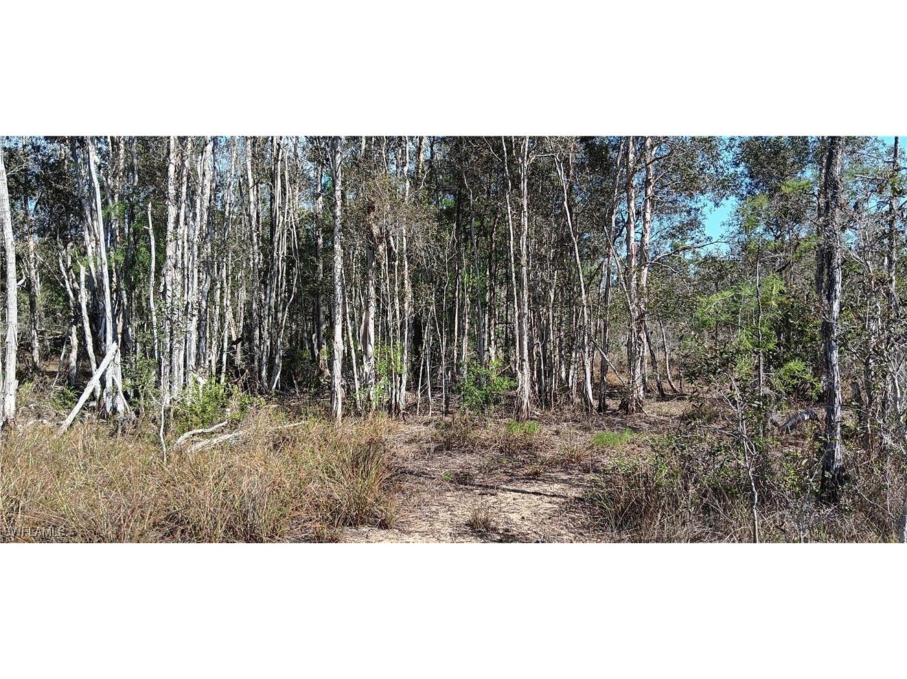 Vista Ridge Drive Fort Myers FL 33913 225041511 image2