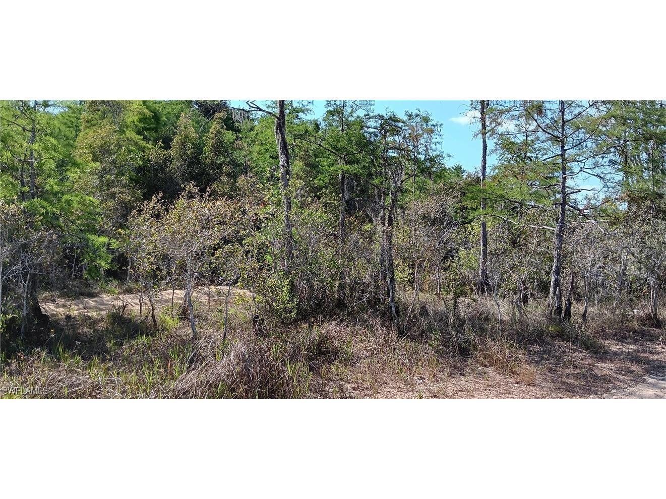 Vista Ridge Drive Fort Myers FL 33913 225041511 image3