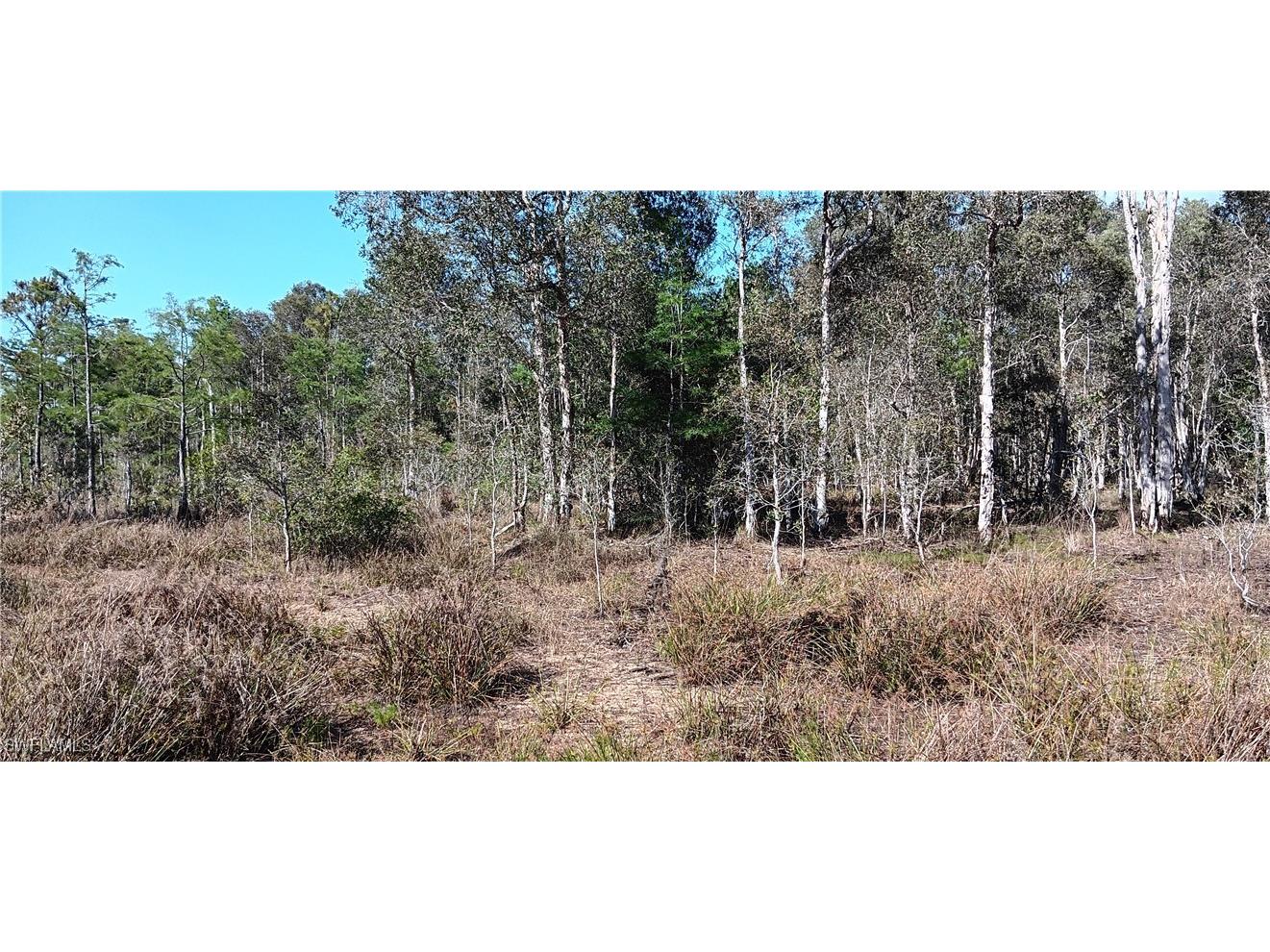 Vista Ridge Drive Fort Myers FL 33913 225041511 image4