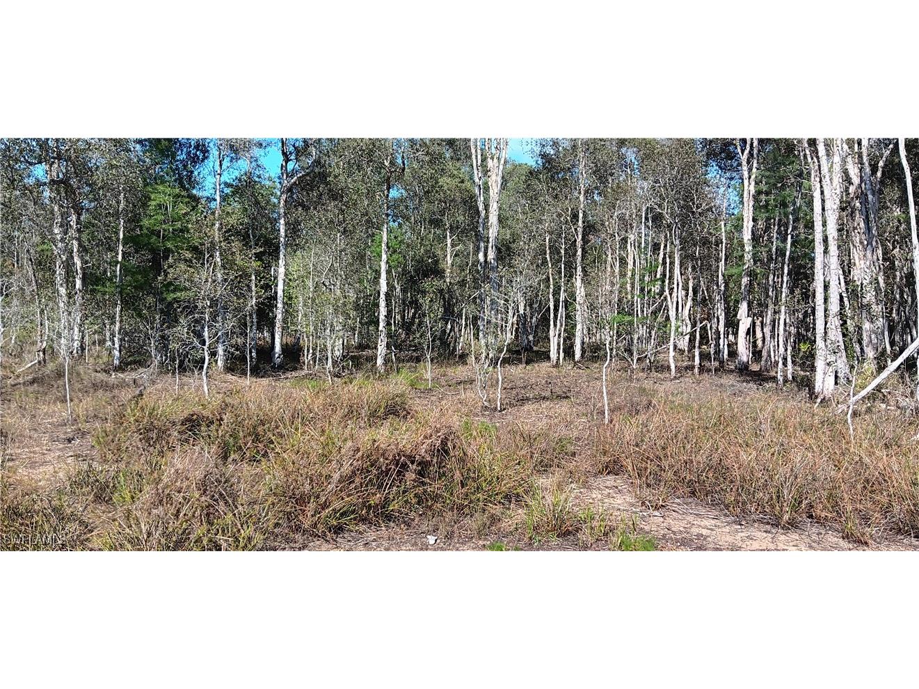 Vista Ridge Drive Fort Myers FL 33913 225041511 image5