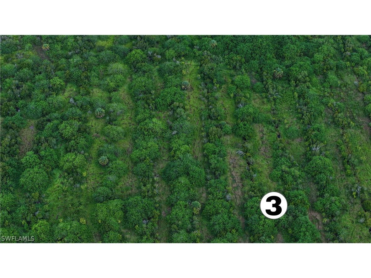 0 2nd Road Labelle FL 33935 224062264 image5