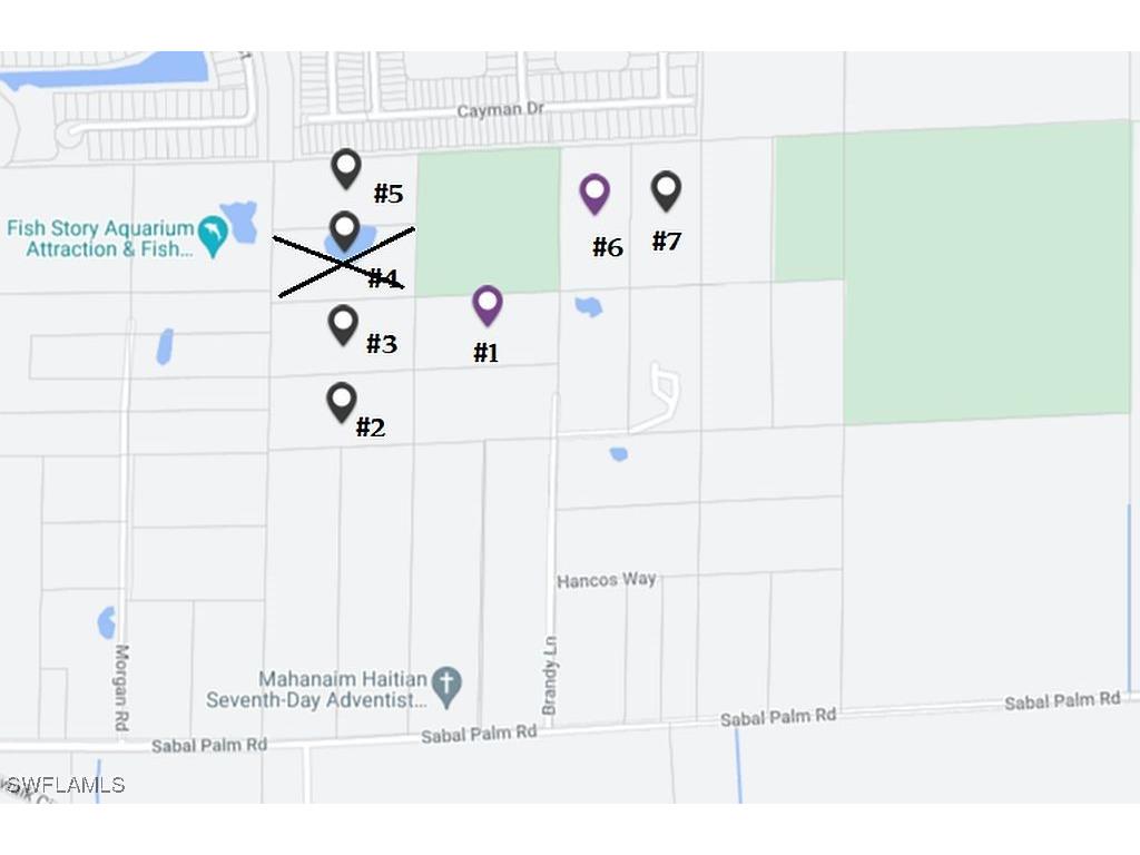 000 Brandy Lane Naples FL 34114 224078129 image9