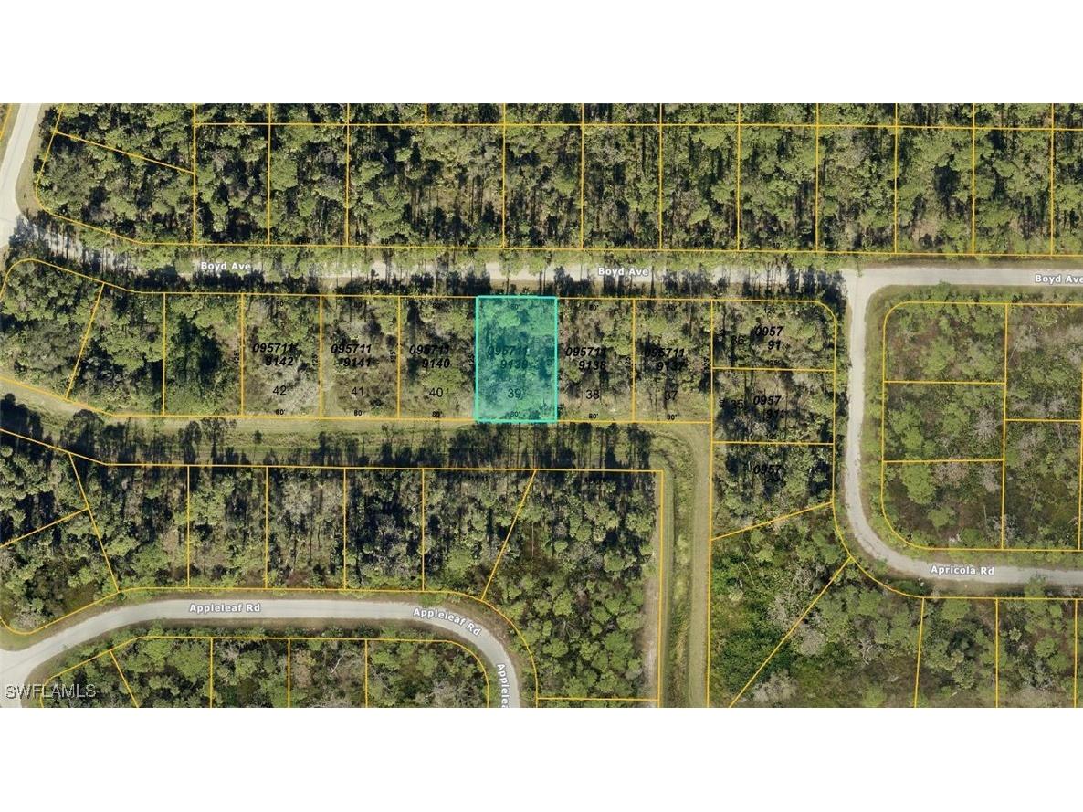 0957119139 Boyd Avenue North Port FL 34286 225024129 image2