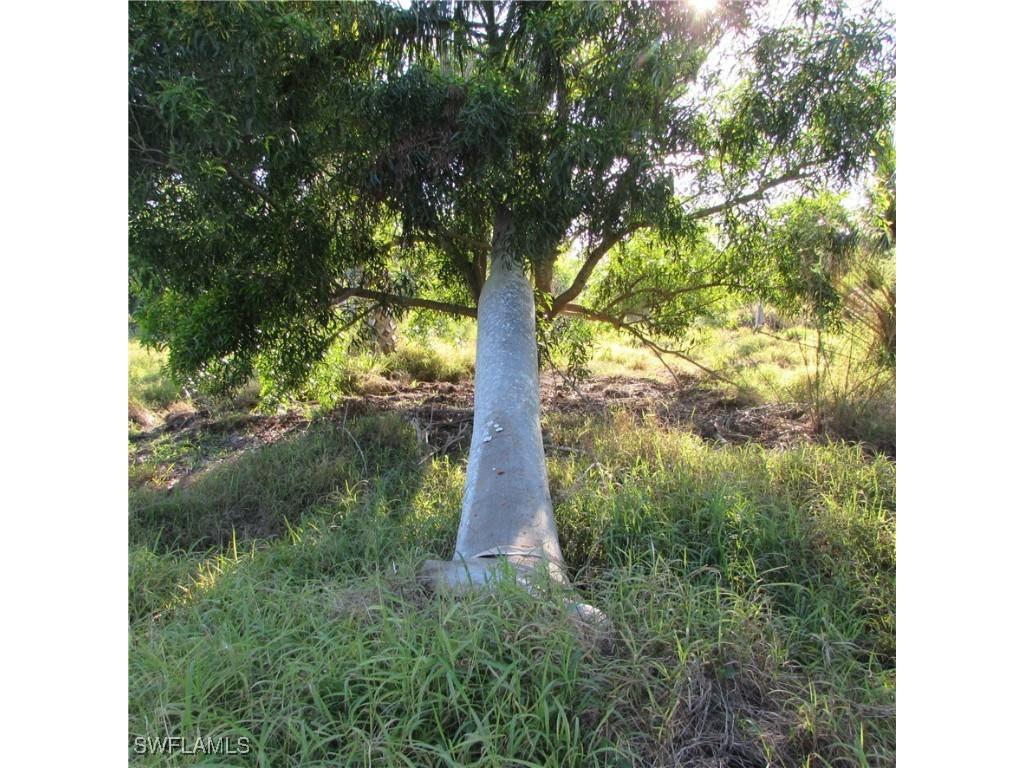 10011 Stringfellow Road Saint James City FL 33956 224098403 image15