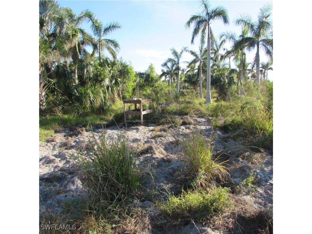 10011 Stringfellow Road Saint James City FL 33956 224098403 image8