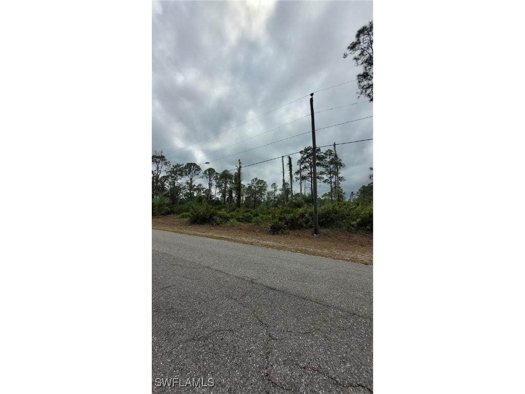 1003 Louis Avenue Lehigh Acres FL 33392 225045388 image1