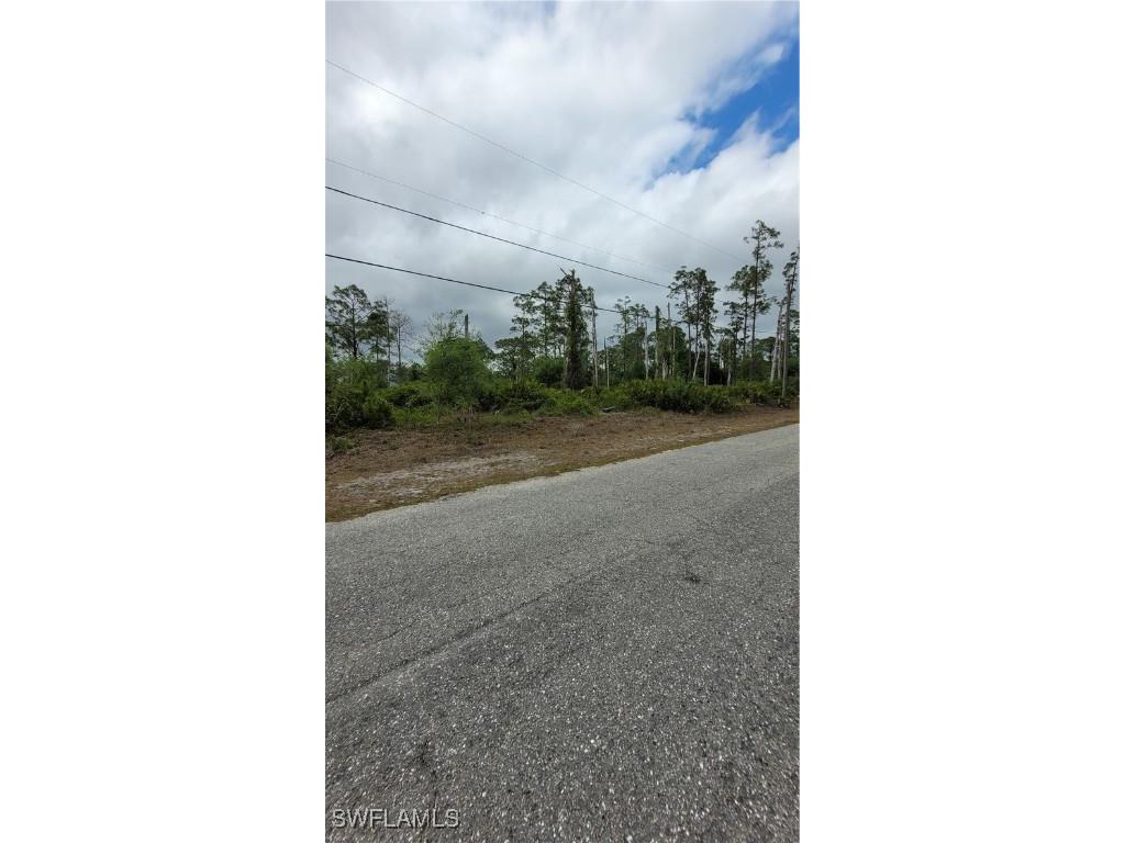 1003 Louis Avenue Lehigh Acres FL 33392 225045388 image2