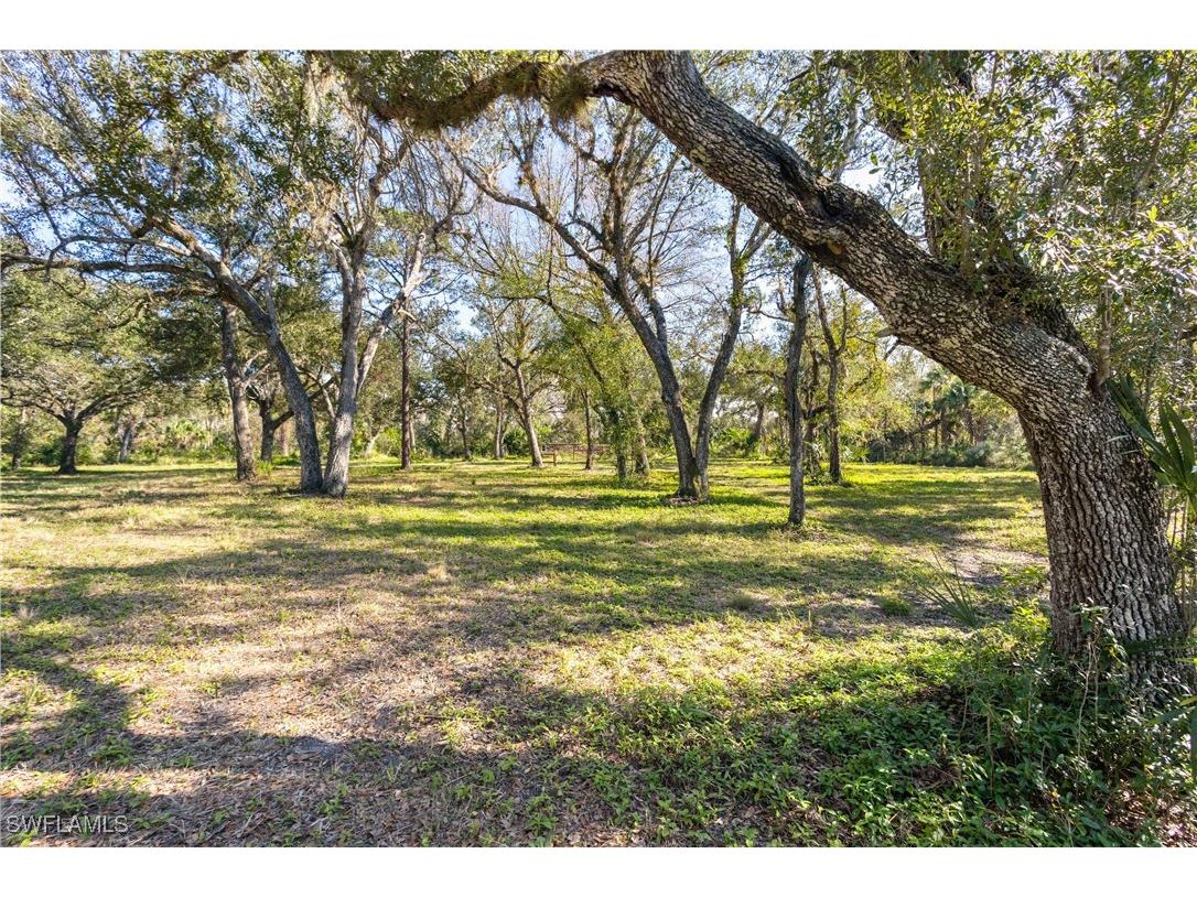 10038 SW County Road 769 Arcadia FL 34269 225018199 image47