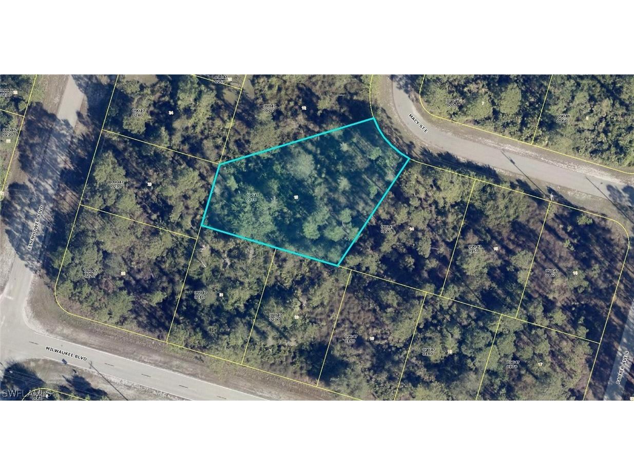 1006 Macy Street E Lehigh Acres FL 33974 223053883 image1