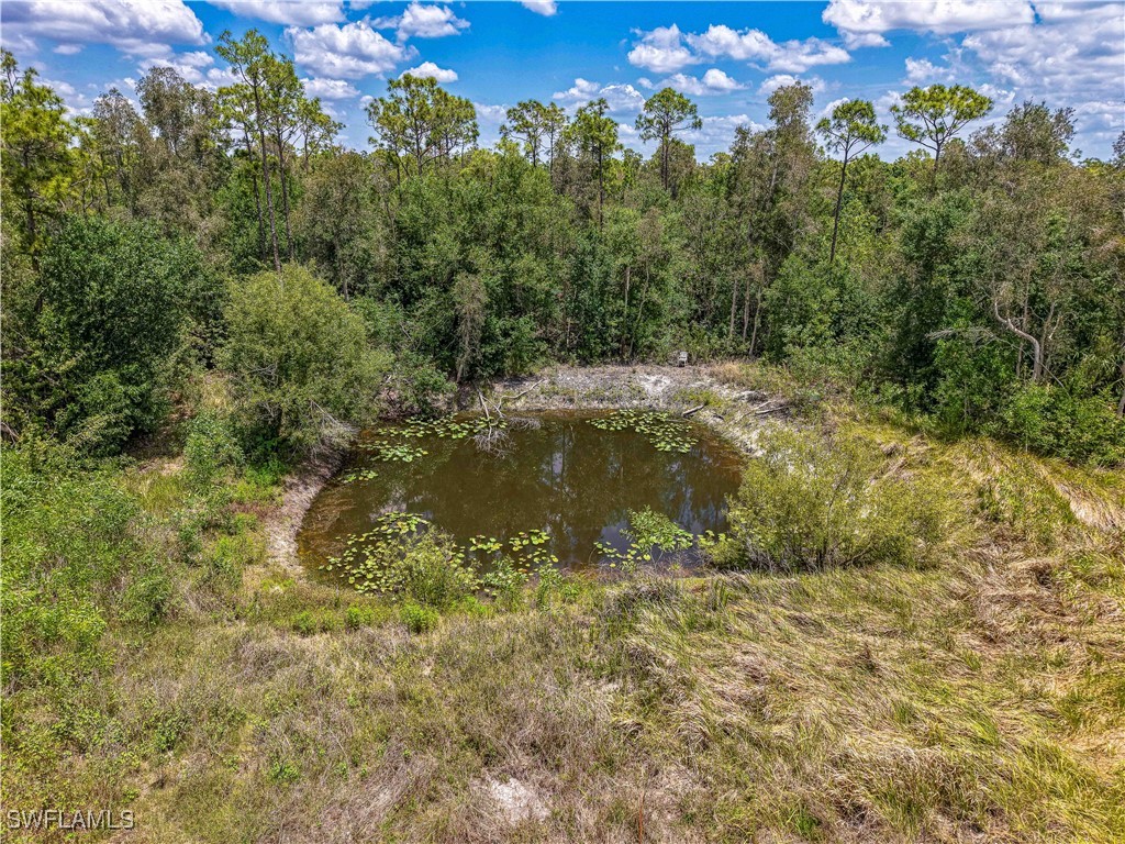 10061 Deal Road North Fort Myers FL 33917 225049863 image6